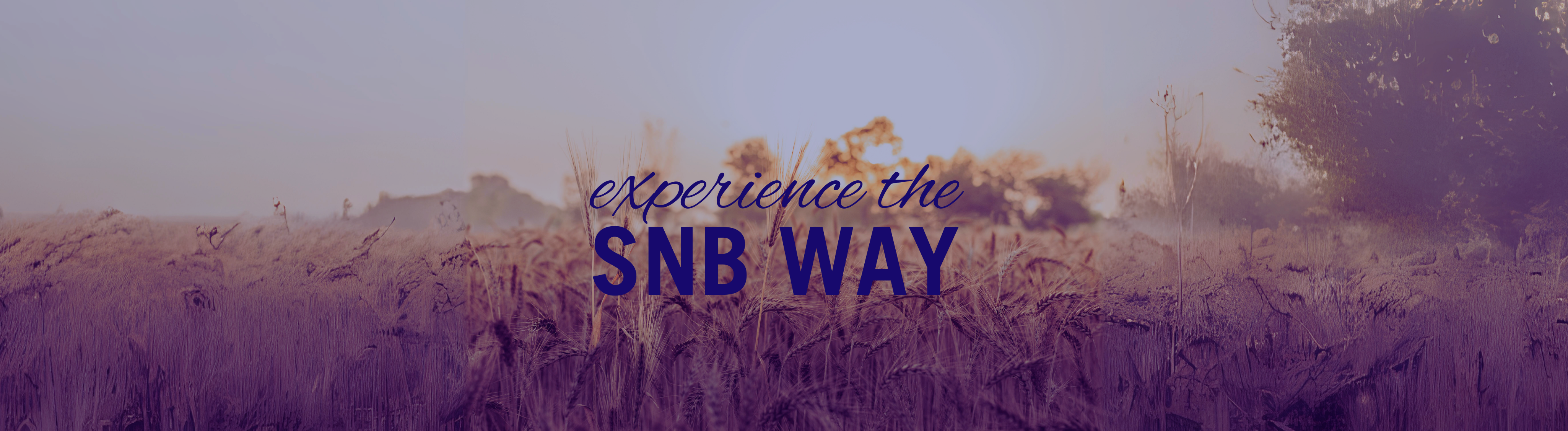 experience the SNB Way